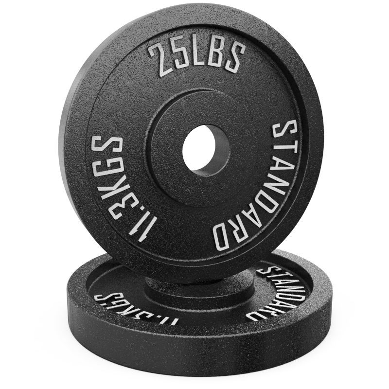 25lb 20standard 20metal 20weight 20plate 20pair 20image 201