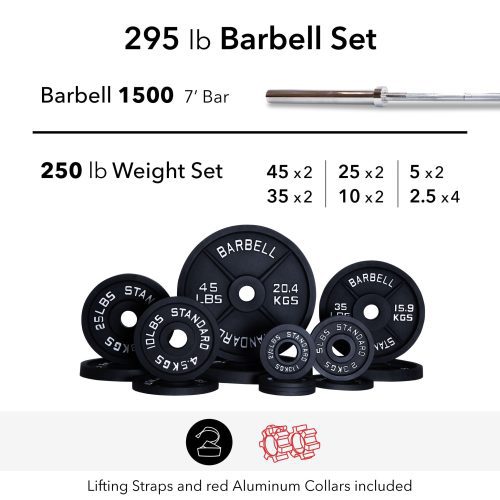 295 lb barbell weight set alum straps