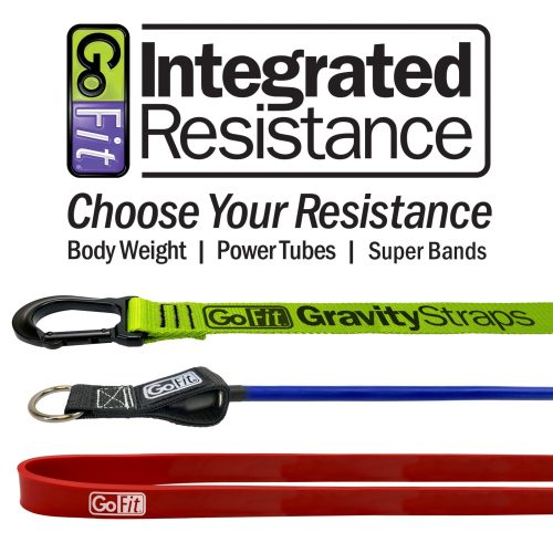 GF IntegratedResistance