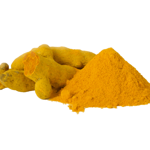 Turmeric Herb