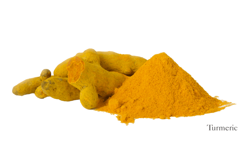 Turmeric Herb