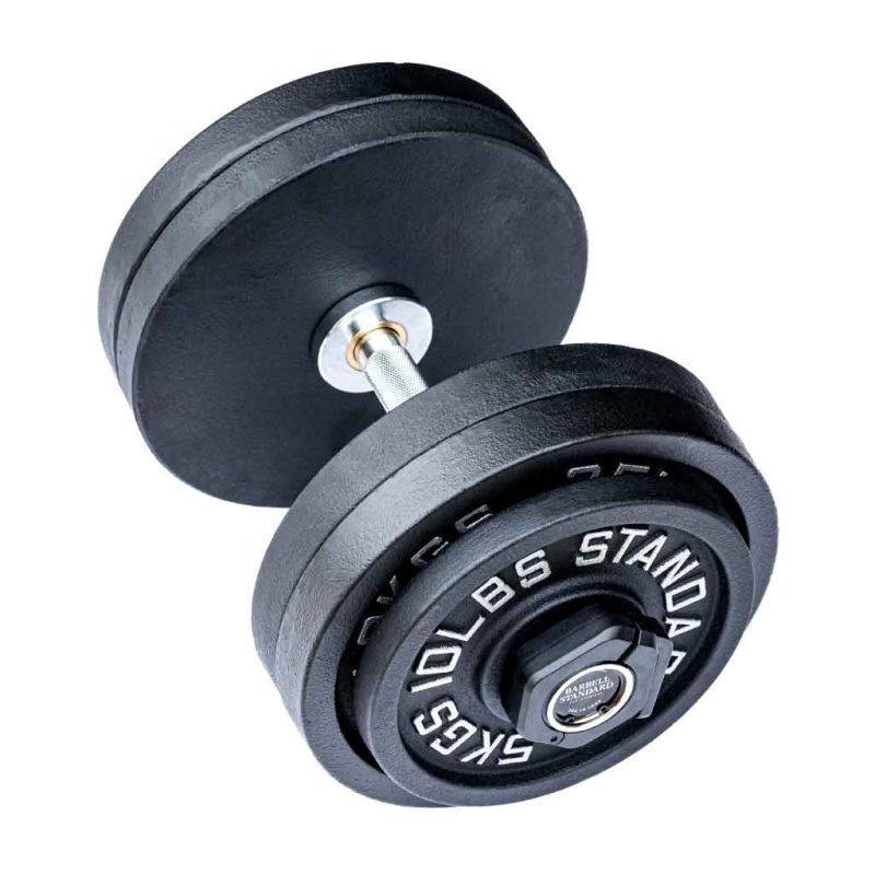 olympic loadable dumbbells 130lb