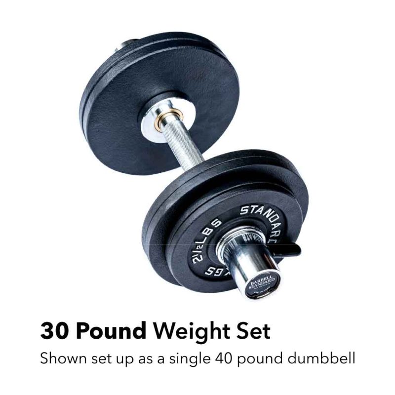 olympic loadable dumbbells 30 max single