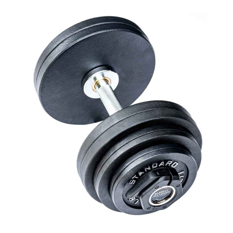 olympic loadable dumbbells 80lb